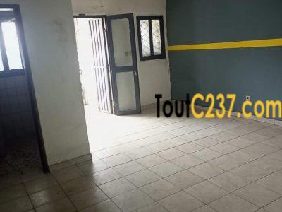 Appartement à louer à Cite des palmiers, Douala