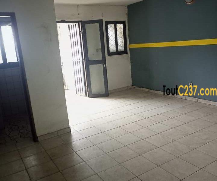 Appartement à louer à Cite des palmiers, Douala