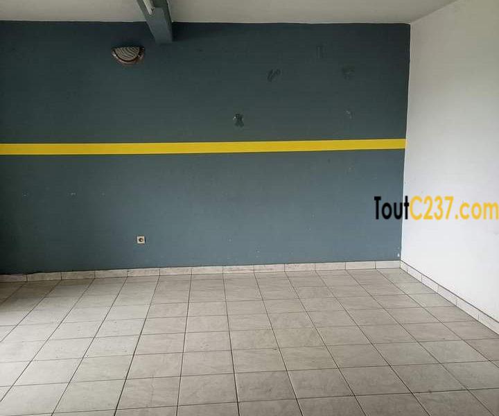 Appartement à louer à Cite des palmiers, Douala