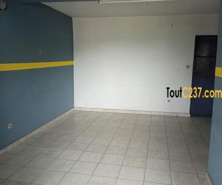 Appartement à louer à Cite des palmiers, Douala