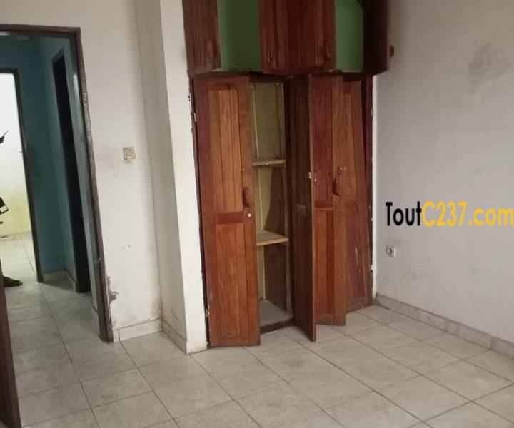Appartement à louer à Cite des palmiers, Douala