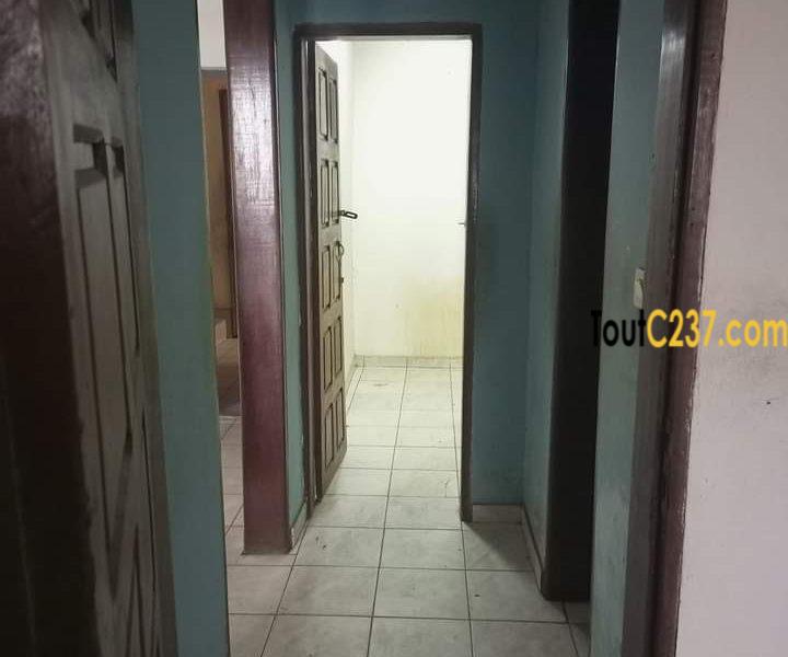 Appartement à louer à Cite des palmiers, Douala