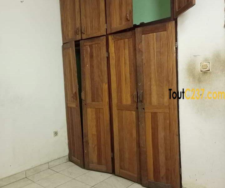 Appartement à louer à Cite des palmiers, Douala