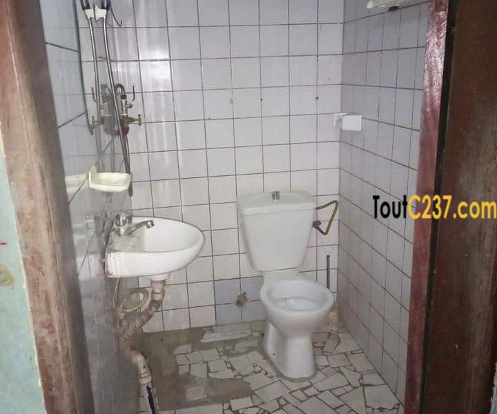 Appartement à louer à Cite des palmiers, Douala