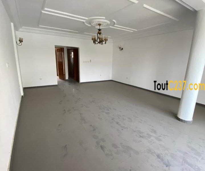 Appartement à louer à Bonapriso Douala