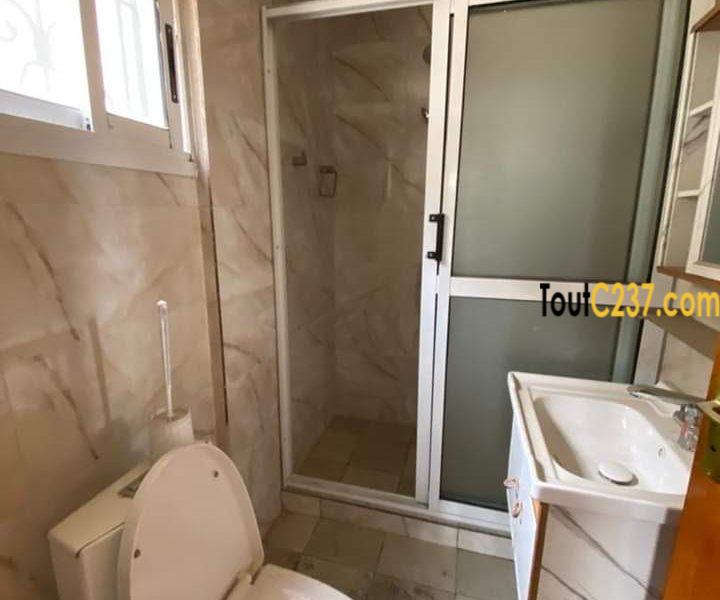 Appartement à louer à Bonapriso Douala