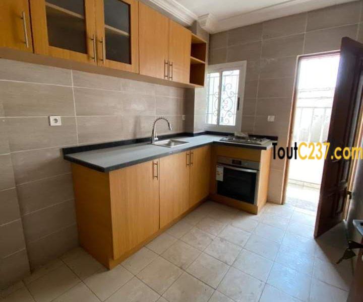 Appartement à louer à Bonapriso Douala