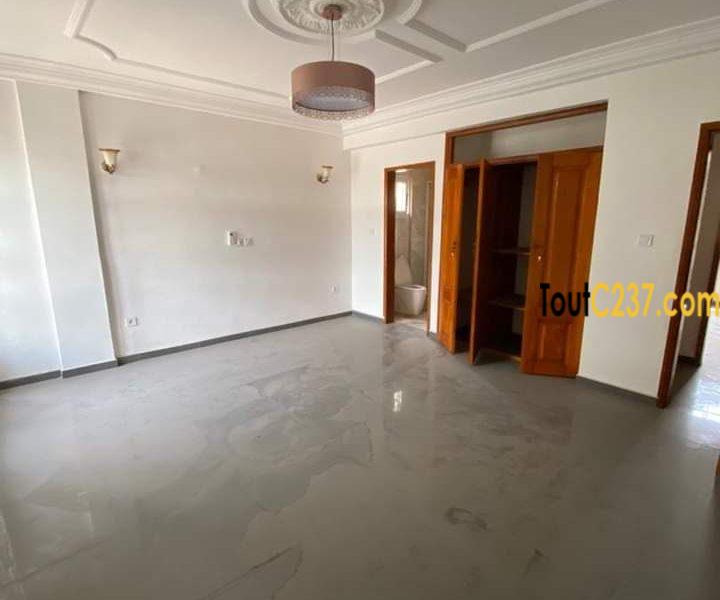 Appartement à louer à Bonapriso Douala
