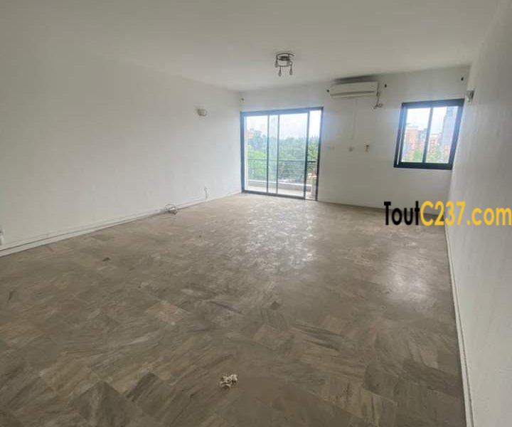 Vaste appartement à louer à Bonapriso Douala