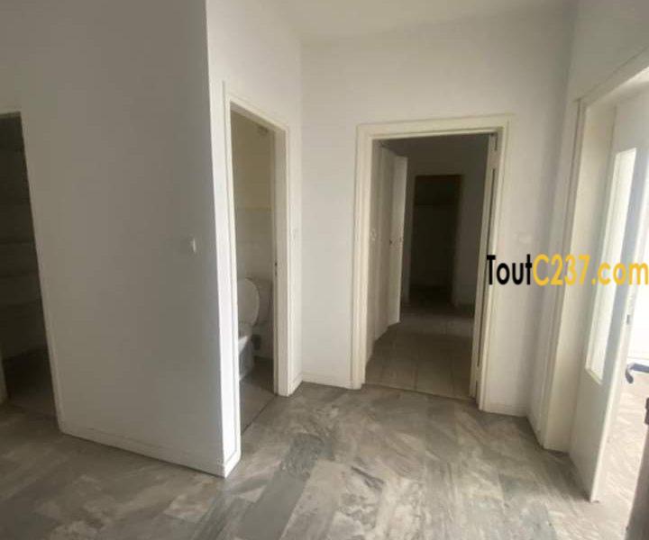 Vaste appartement à louer à Bonapriso Douala