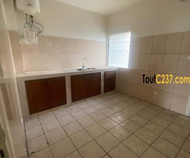 Vaste appartement à louer à Bonapriso Douala