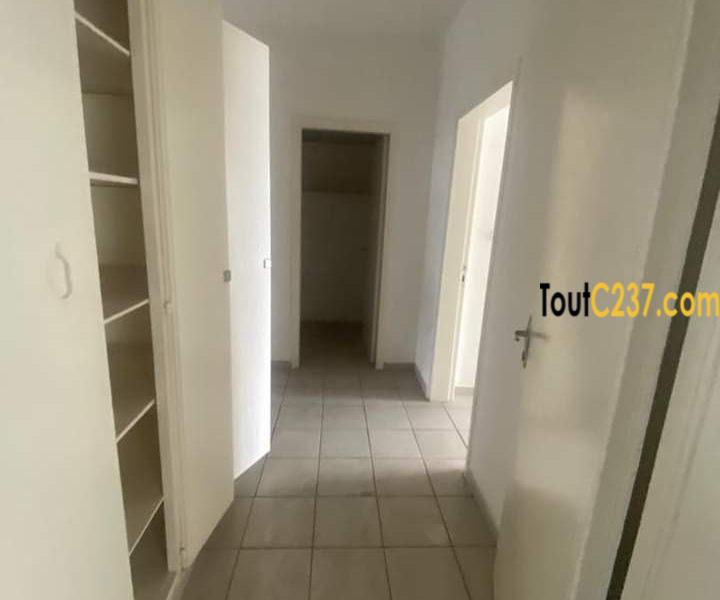 Vaste appartement à louer à Bonapriso Douala