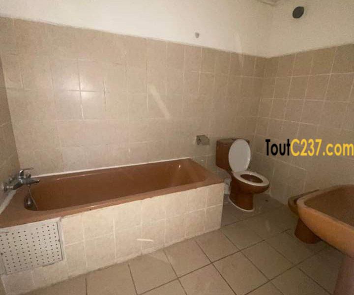 Vaste appartement à louer à Bonapriso Douala