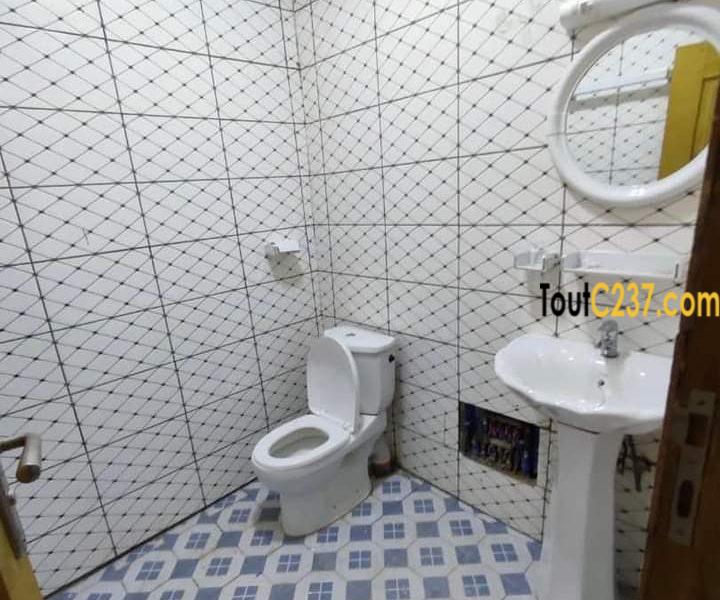Appartement haut standing à louer à Kotto, Douala