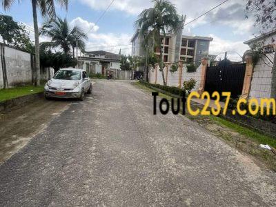 Trrrain à vendre à Bonamoussadi Douala