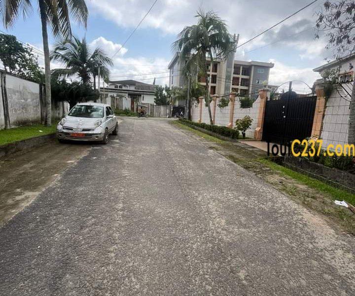 Trrrain à vendre à Bonamoussadi Douala