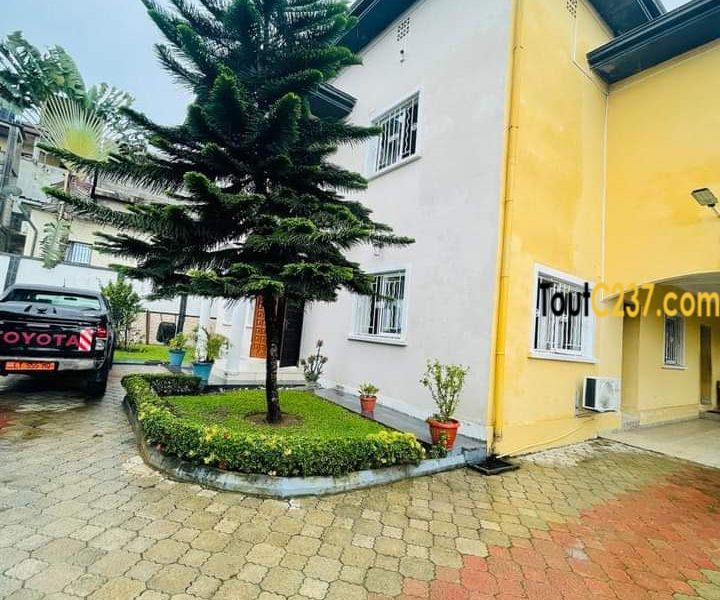 Hyper Vaste Duplex à vendre à Yassa Nkolbong