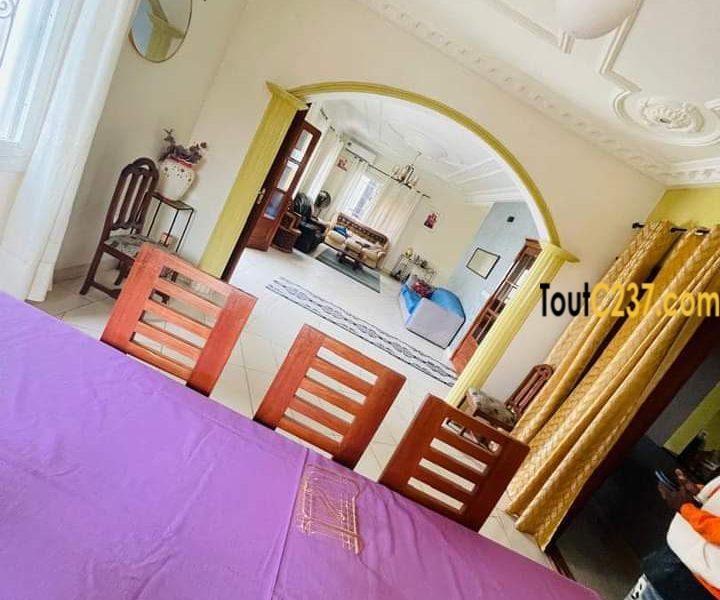 Hyper Vaste Duplex à vendre à Yassa Nkolbong