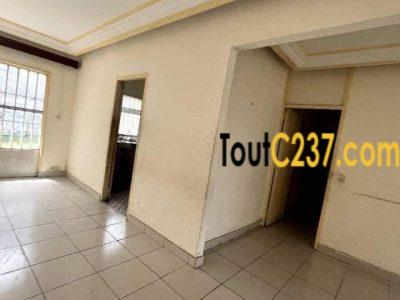 Maison sic à vendre à Kotto, Douala