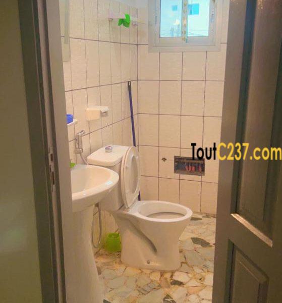 Fonds Appartement à vendre à Bonamoussadi Denver