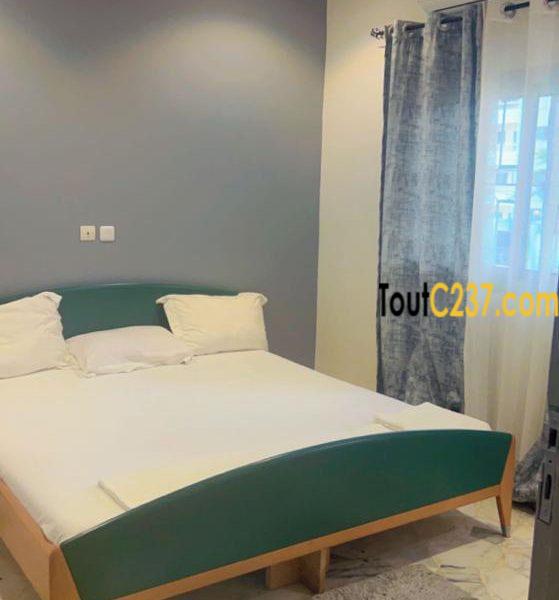 Fonds Appartement à vendre à Bonamoussadi Denver