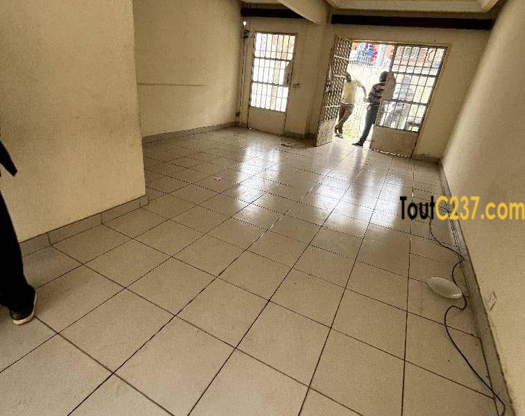Maison sic à vendre à Kotto, Douala