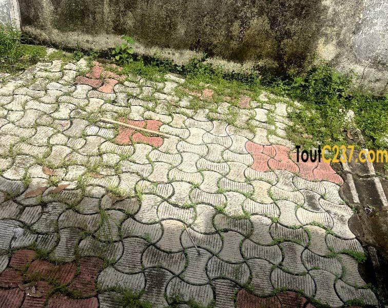Maison sic à vendre à Kotto, Douala
