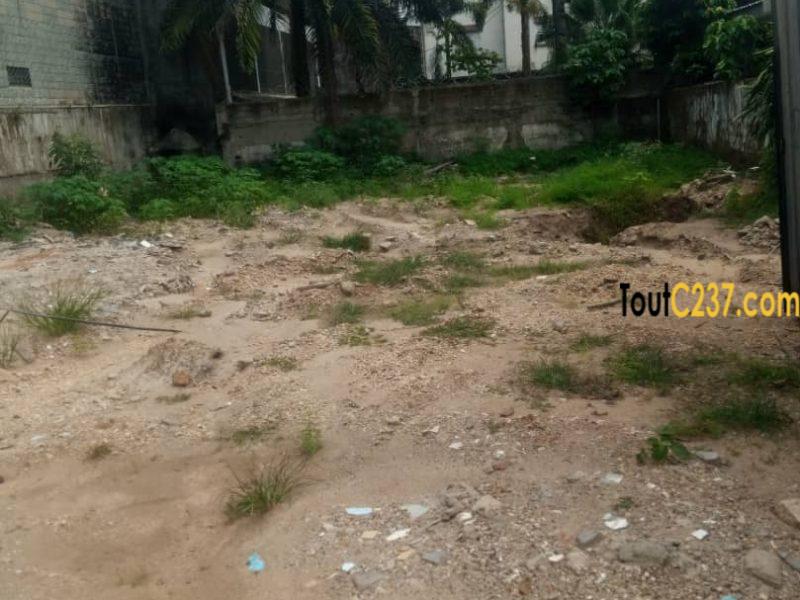 Terrain à vendre à Bonapriso, Douala