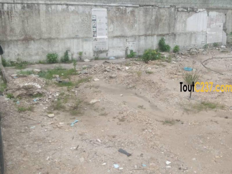 Terrain à vendre à Bonapriso, Douala
