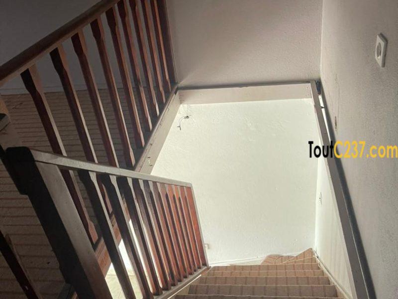 Boutique avec mezzanine à louer à Binamoussadi