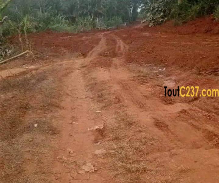 Terrain commercial a vendre à Kribi