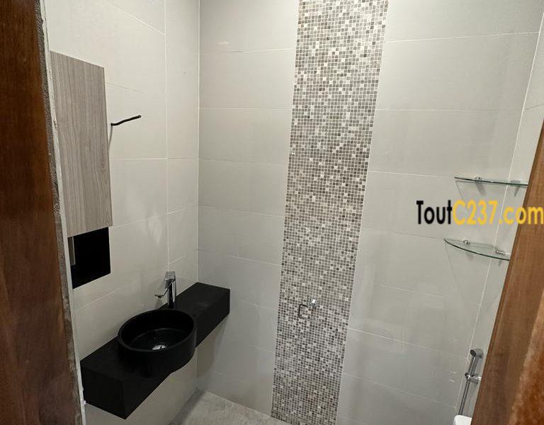 Duplex haut standing à louer à Bonaberie