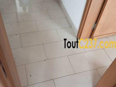 Appartement à louer à Bonapriso Douala