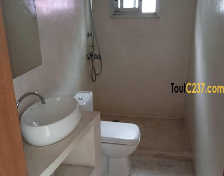 Appartement à louer à Bonapriso Douala