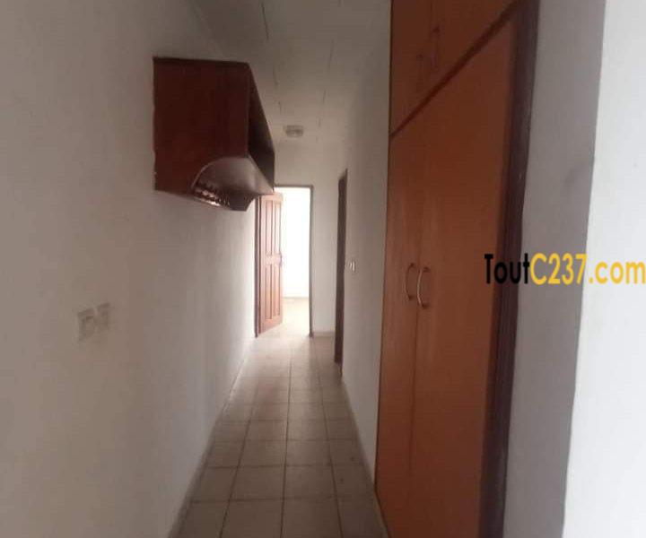 Appartement à louer à Bonapriso Douala