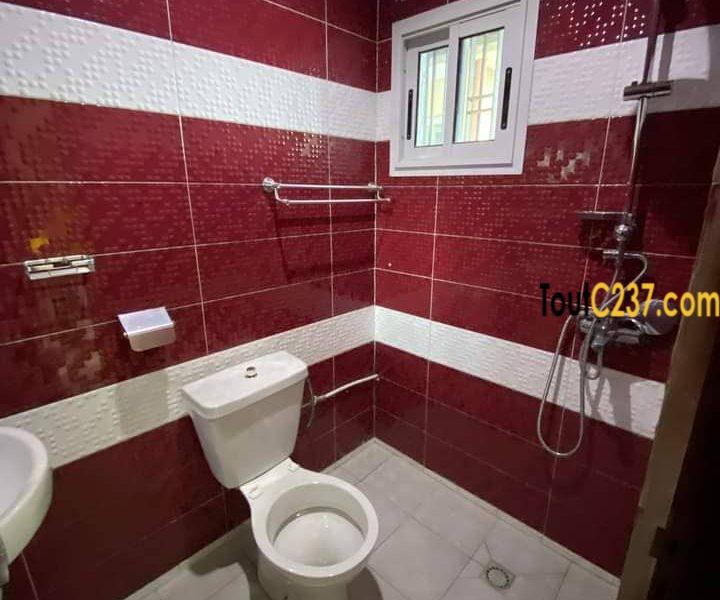 Appartement à louer à Bonapriso Douala