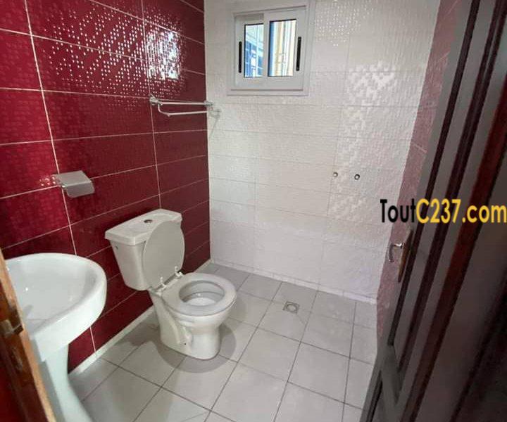 Appartement à louer à Bonapriso Douala