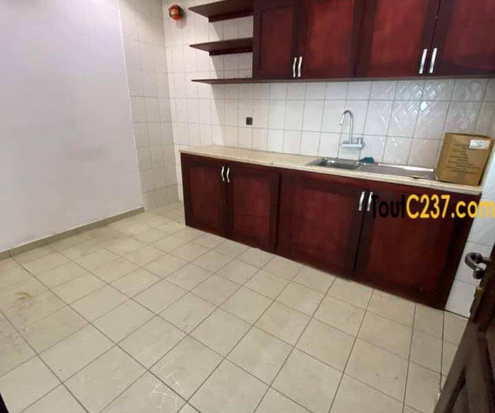 Appartement à louer à Bonapriso Douala