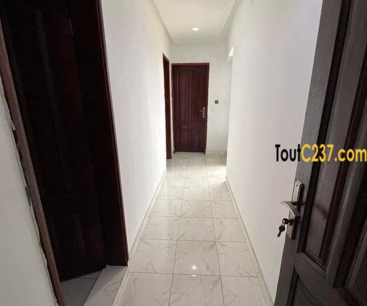 Appartement à louer à Bonapriso Douala