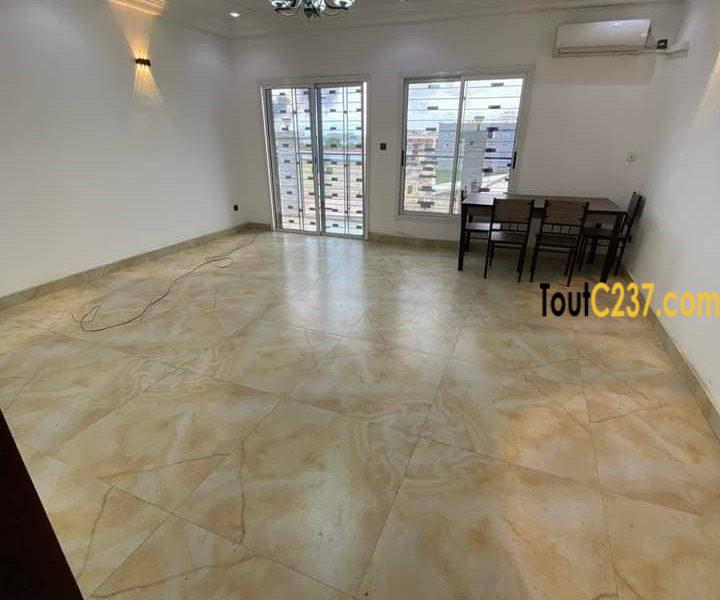 Appartement à louer à Bonapriso Douala