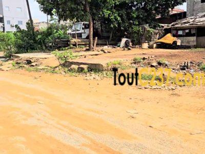 Terrain d'angle à vendre à Logbessou, Douala