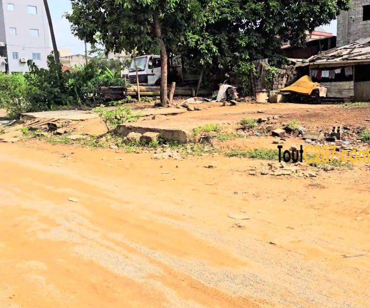 Terrain d'angle à vendre à Logbessou, Douala