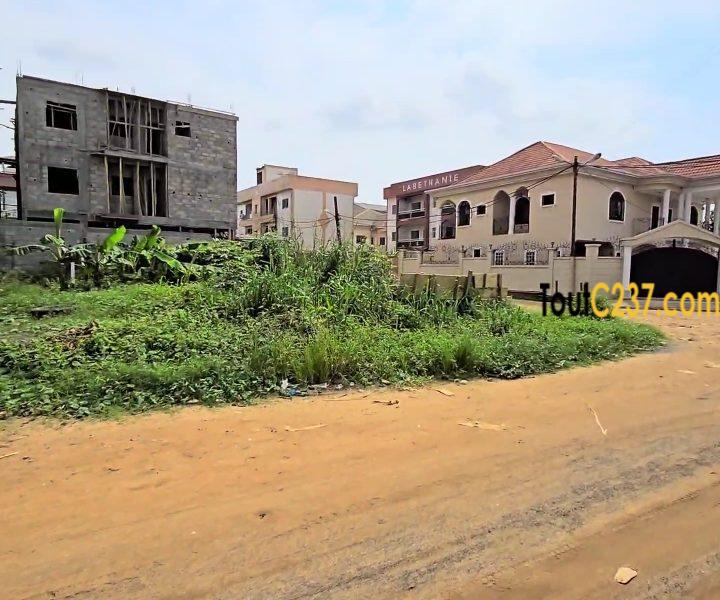 Terrain d'angle à vendre à Logbessou, Douala