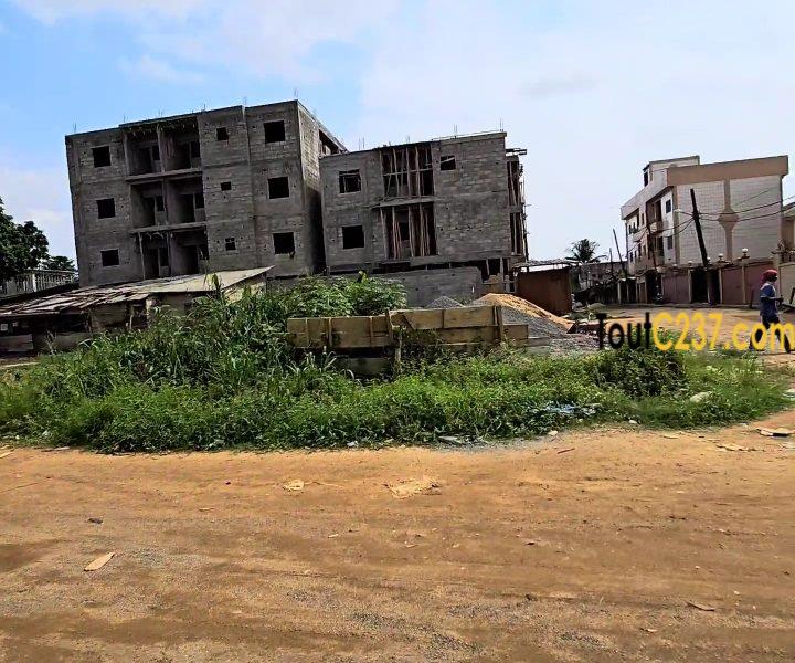 Terrain d'angle à vendre à Logbessou, Douala