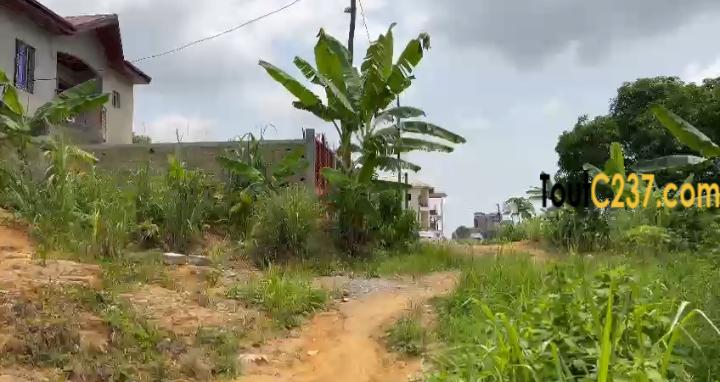 Terrain à vendre à Logpom Shine city