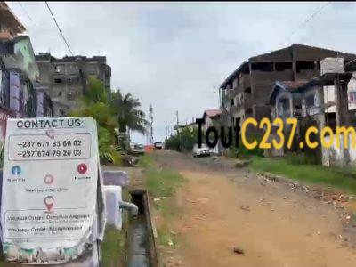 Terrain à vendre à Kotto Bangue, Douala
