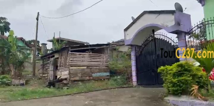 Terrain à vendre à Kotto Bangue, Douala