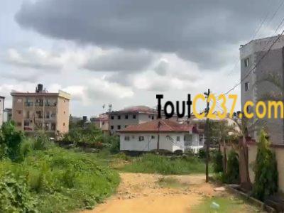 Terrain à vendre à Kotto baden baden ,Douala