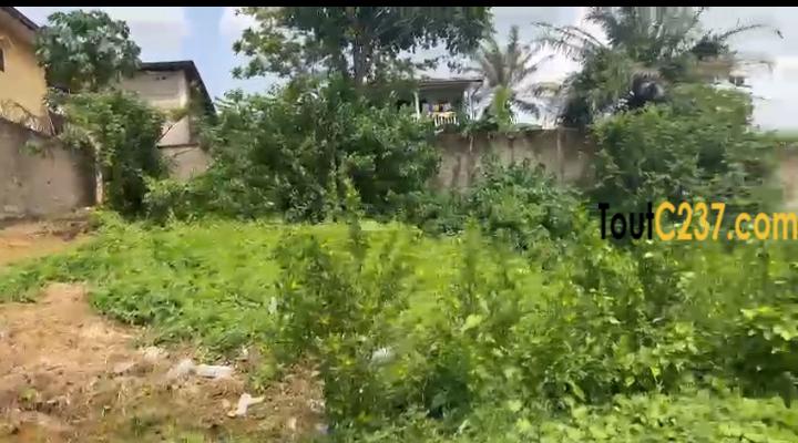 Terrain à vendre à Kotto baden baden ,Douala