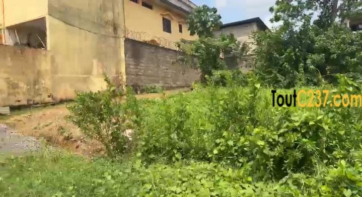 Terrain à vendre à Kotto baden baden ,Douala